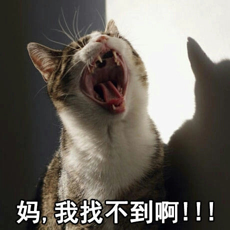 表情包分享谢母亲大人养育之恩