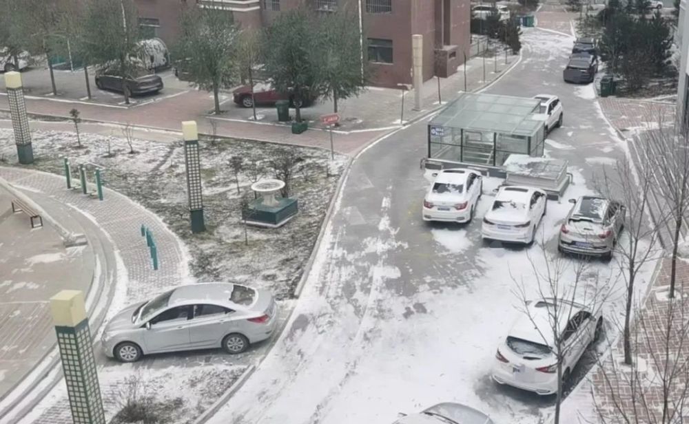 固原又下雨雪了但这次最美的却不是雪景