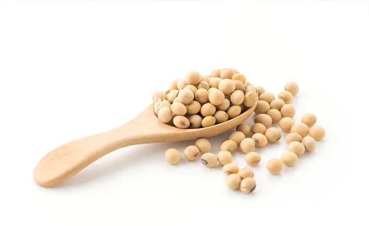 大豆——素食人群的重要食物营养源