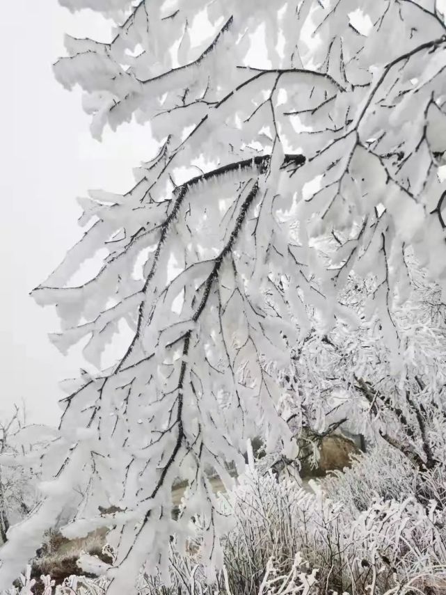 三预警齐发,全省性雨雪天气来袭
