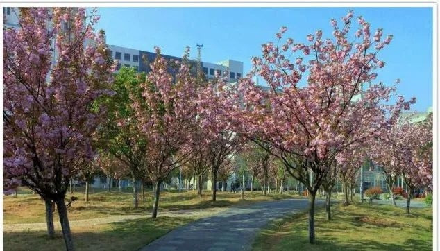 安徽国防科技职业学院