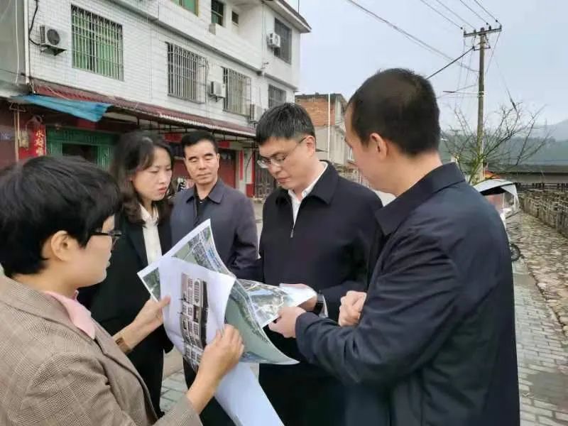 永安市领导带队调研乡村振兴精品示范线路建设