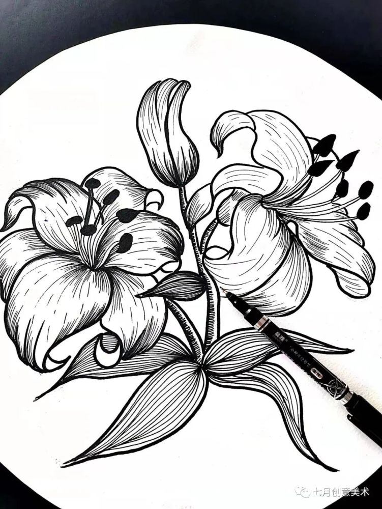 用勾线笔刻画花瓣的纹路 注意线条的美感和花朵的方向结构画线条