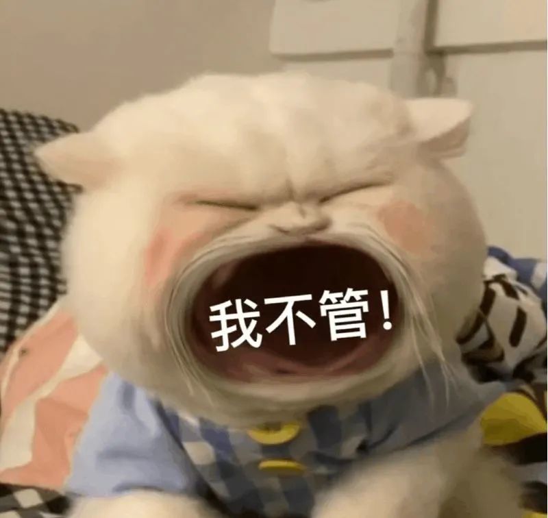 大嘴猫表情包2猫咪张大嘴巴表情包