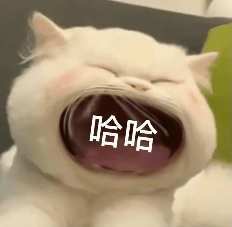 大嘴猫表情包2猫咪张大嘴巴表情包