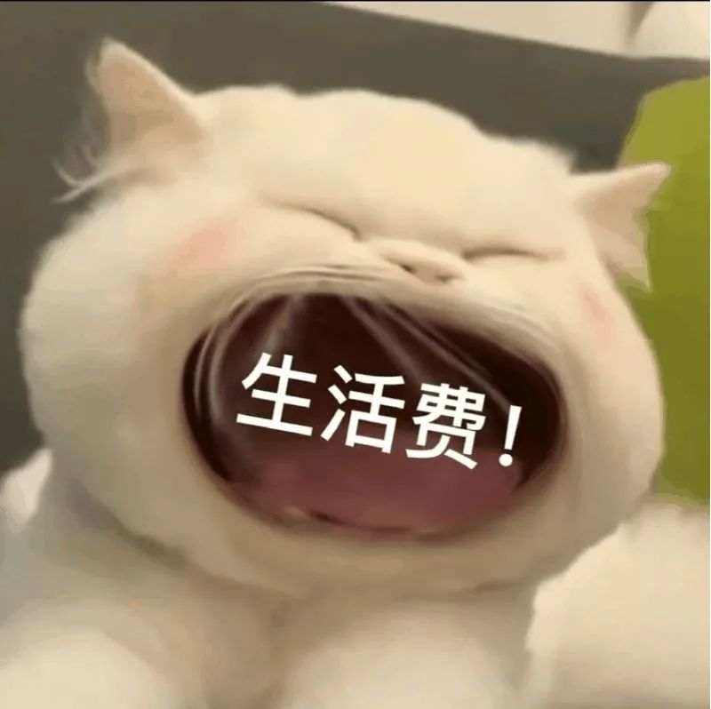 大嘴猫表情包2猫咪张大嘴巴表情包