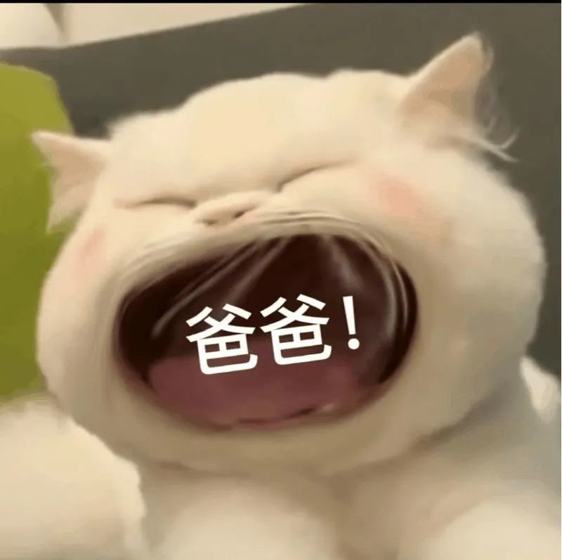 大嘴猫表情包2猫咪张大嘴巴表情包