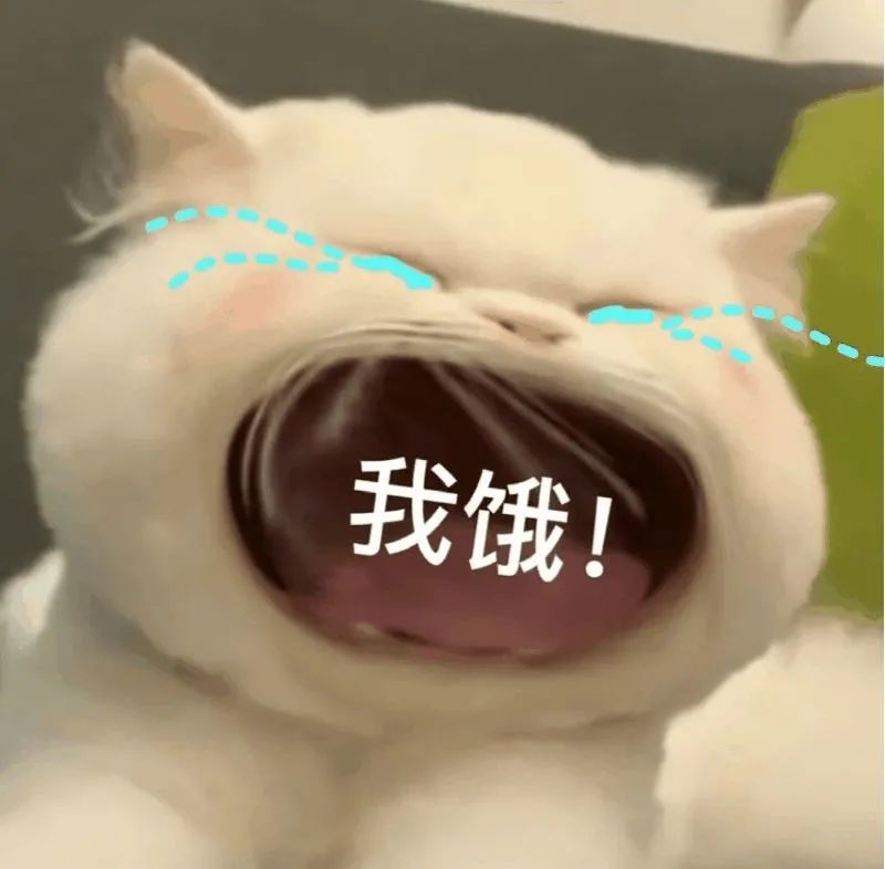 大嘴猫表情包2猫咪张大嘴巴表情包