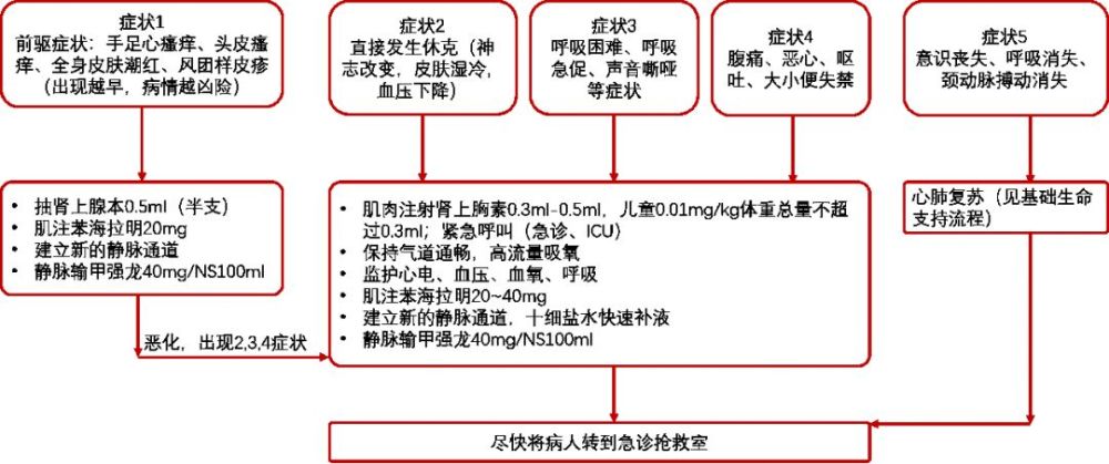 严重过敏反应按照下列流程进行抢救(图1).