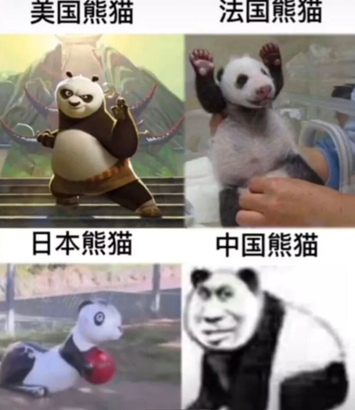 搞笑趣图大赏人被逼急了什么事都干得出来除了数学题