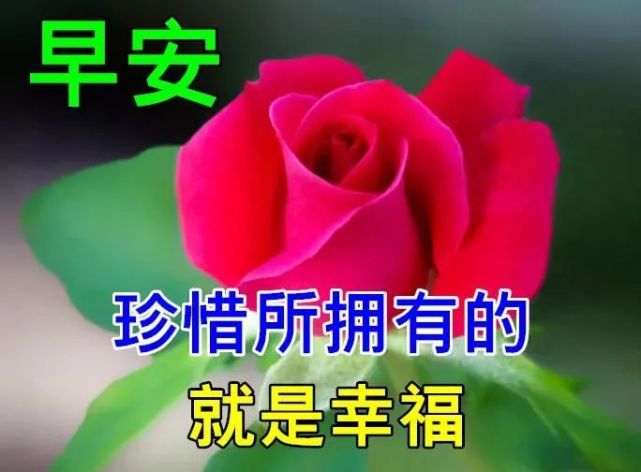 11月7日立冬漂亮早上好图片动态表情大全,最美风景早上好美图大全