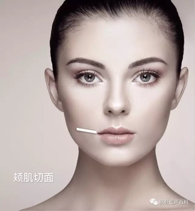 额肌,枕肌,眼轮匝肌,口轮匝肌,提上唇肌,提口角肌,颧肌,降口角肌,降