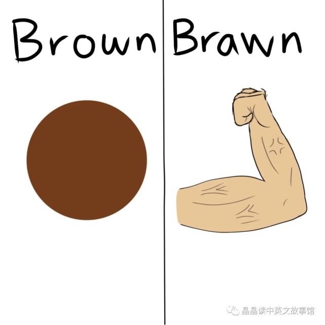 【晶语之声】pronounce brown vs brawn【晶晶读中英文故事】
