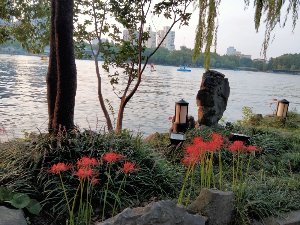 长风公园应该是上海最有特色的公园之一银锄湖是上海湖园中最大的人工