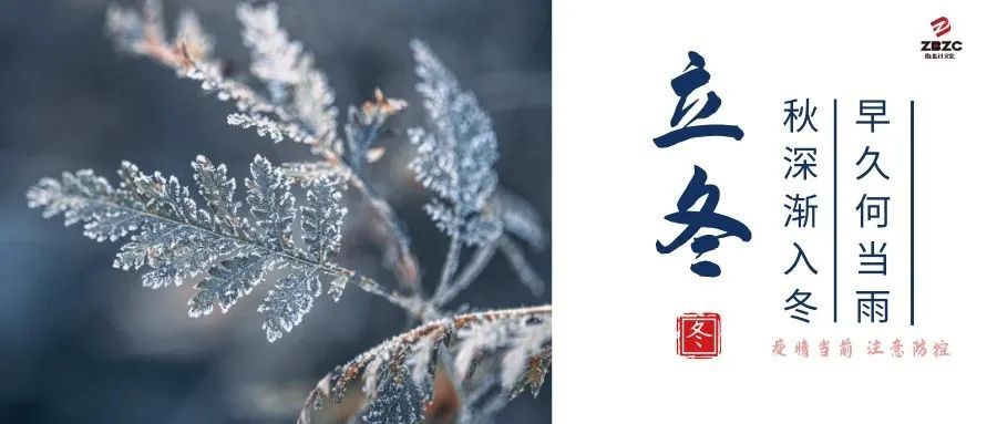 立冬北风乍起的季节我们又一次见证了国人的温良