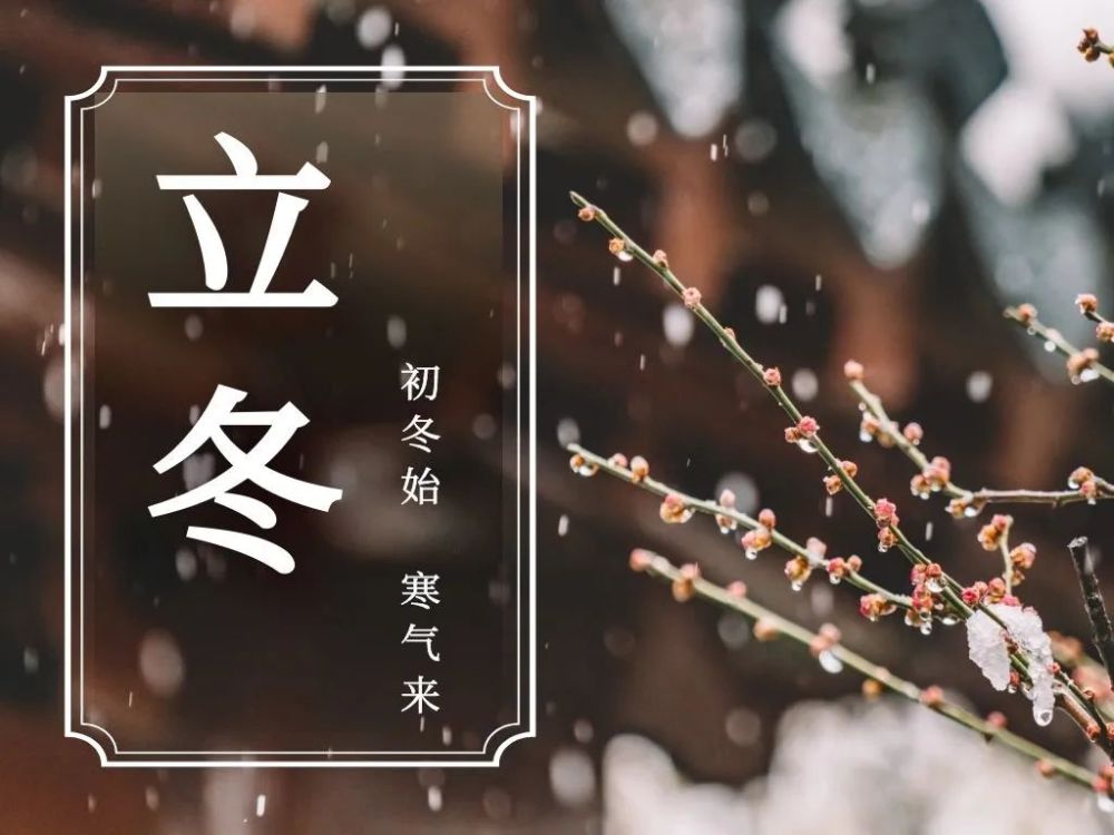 1℃,大风 雨夹雪,立冬啦!吃饺子去