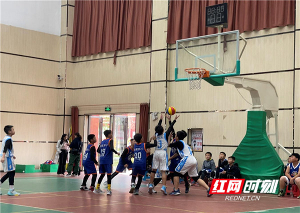 娄底三小男篮,女篮摘得娄星区"友谦杯"小学生篮球赛"
