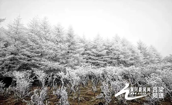 "立冬"节气山西各地迎来降雪(图)