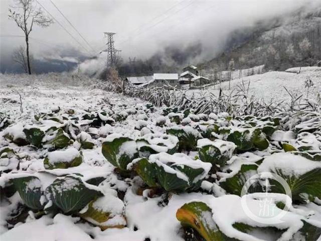 重庆开启"一秒入冬模式",这几个地方都下雪了