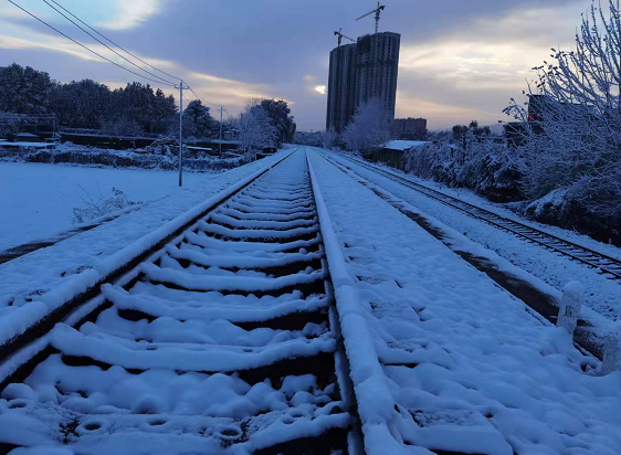 降雪"到货",一夜入冬!宝鸡东南西北雪景"美爆"朋友圈