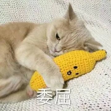 表情包:不要你走