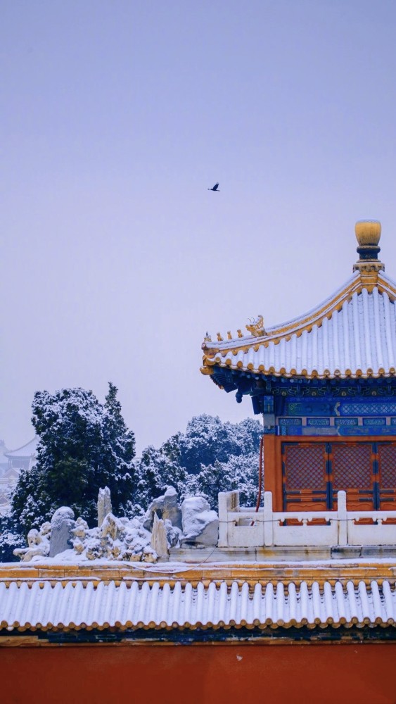 故宫雪景高清图白雪皑皑拂不去的黄瓦红墙的厚重一钟声敲响了紫禁城