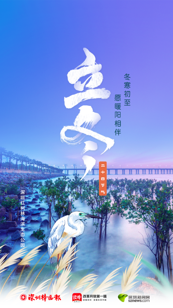 立冬飘雪!深圳人都馋哭啦