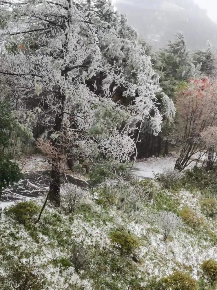 今日立冬,达州这些地方下雪啦