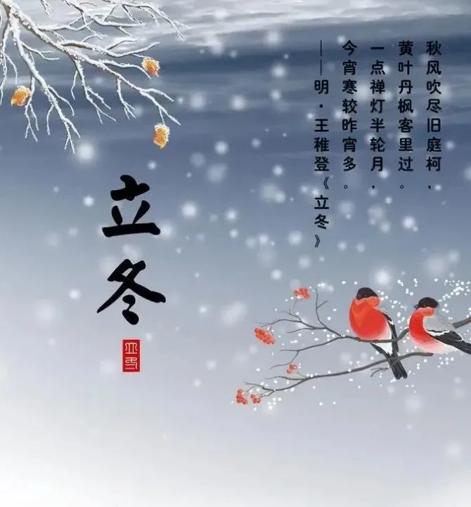 中国茶日历丨立冬 2021.11.