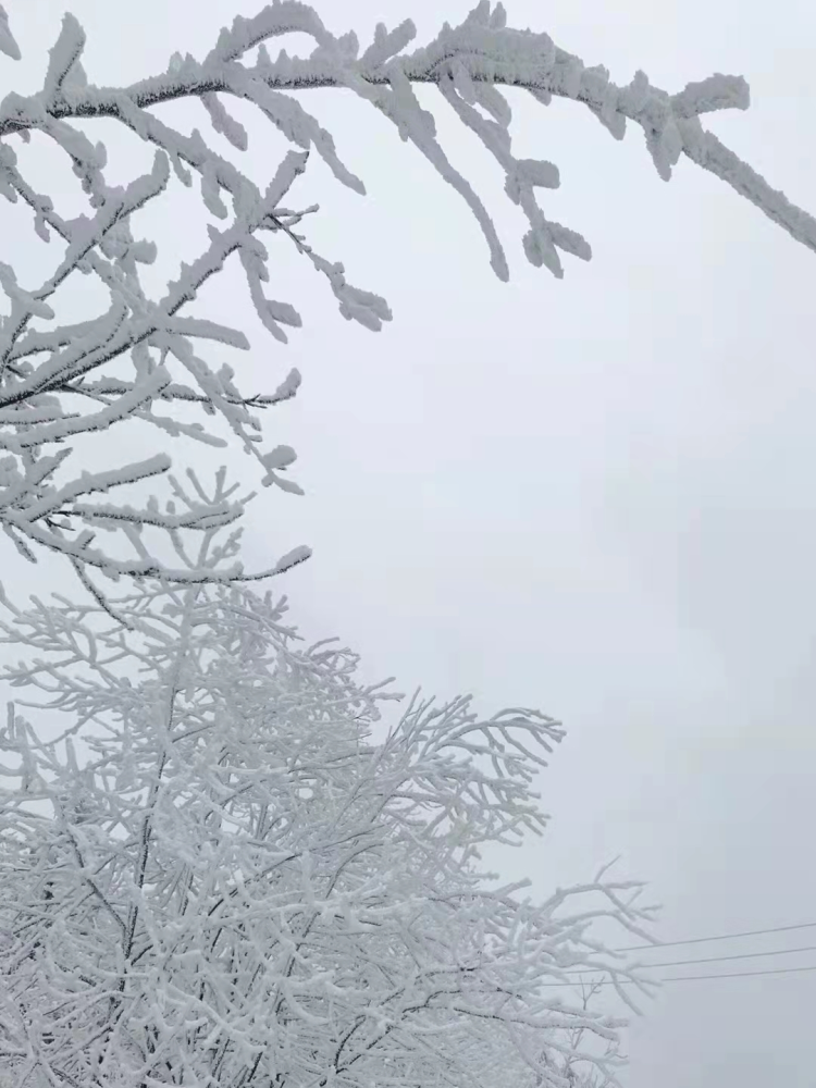 万州周边多地下雪了!有图有真相!