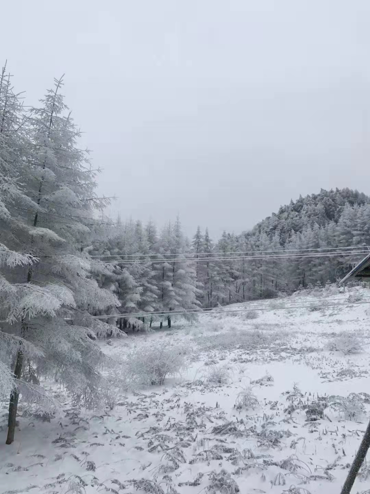 刚刚!万州周边多地下雪了!有图有真相!