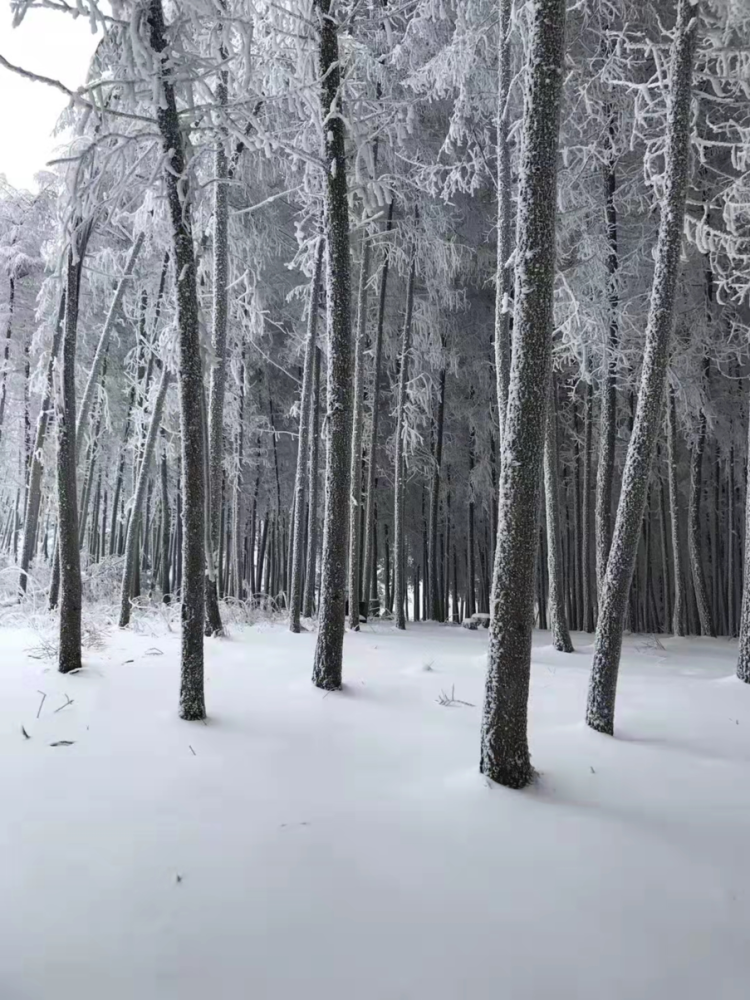 万州周边多地下雪了!有图有真相!