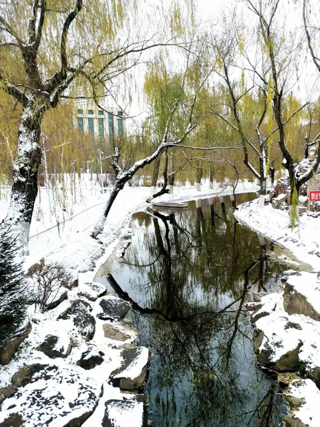长春·雪!
