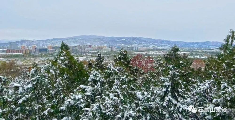 一大波雪景来啦!