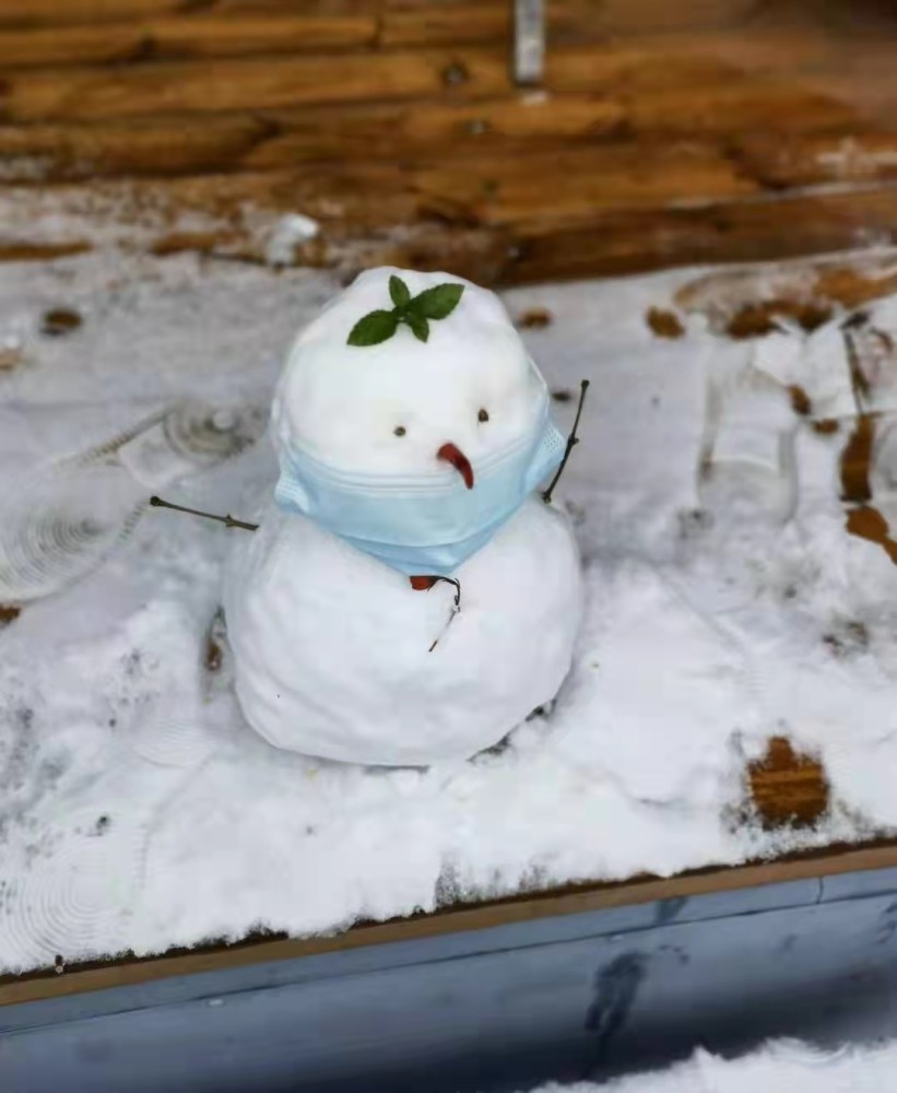 新一届堆雪人大赛开赛!今年的雪人戴上了小口罩