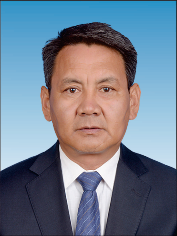 曾任西藏自治区乃东县委常委,组织部部长,山南地委