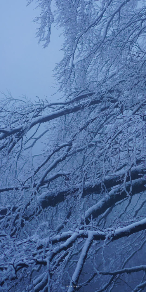 冬天雪景壁纸