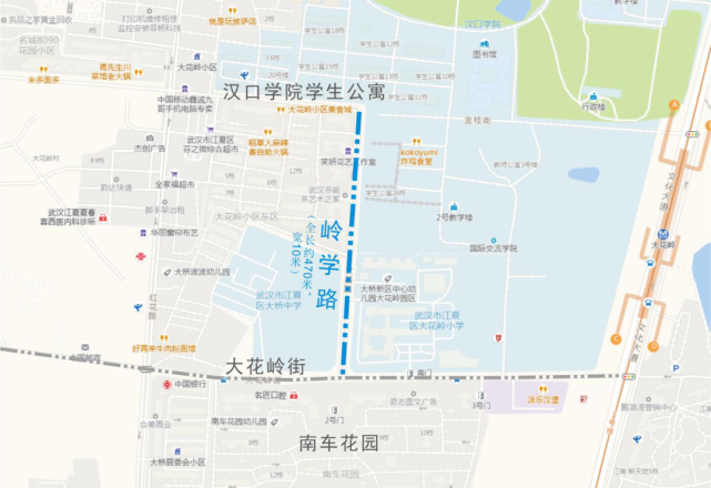 南北走向,北起汉口学院学生公寓,南至大花岭街.全长约470米,宽约10米.