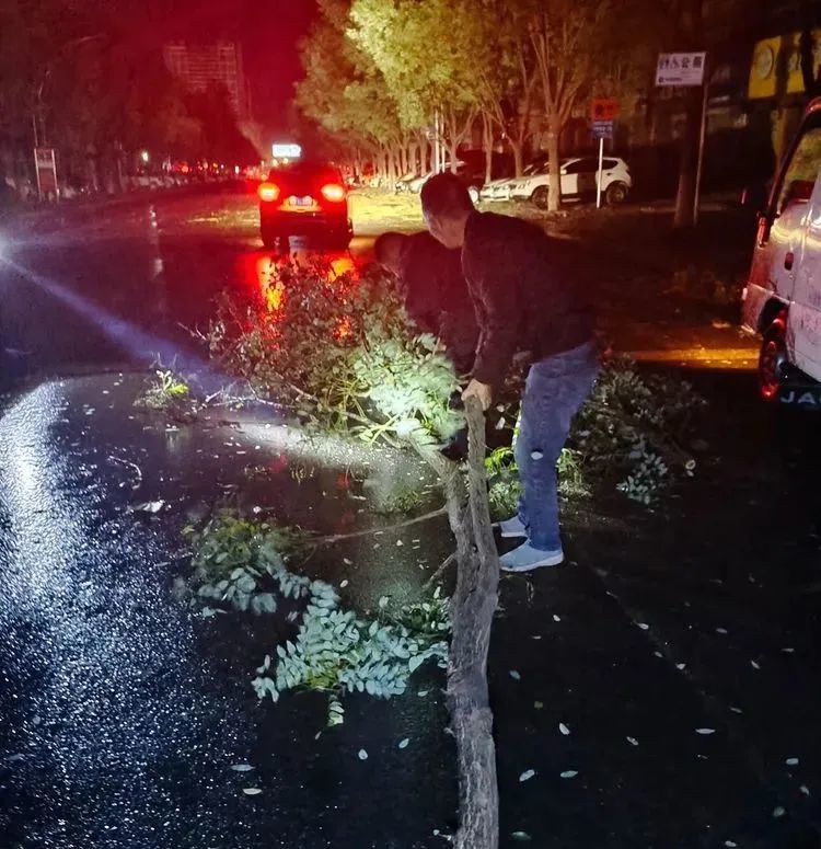 郏县遭遇史上罕见大风各部门积极行动