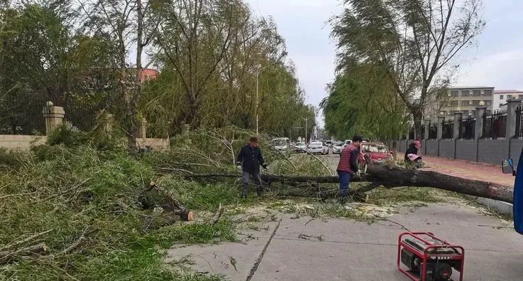 郏县遭遇史上罕见大风各部门积极行动