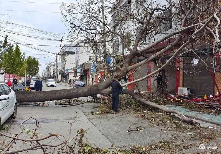 郏县遭遇史上罕见大风各部门积极行动