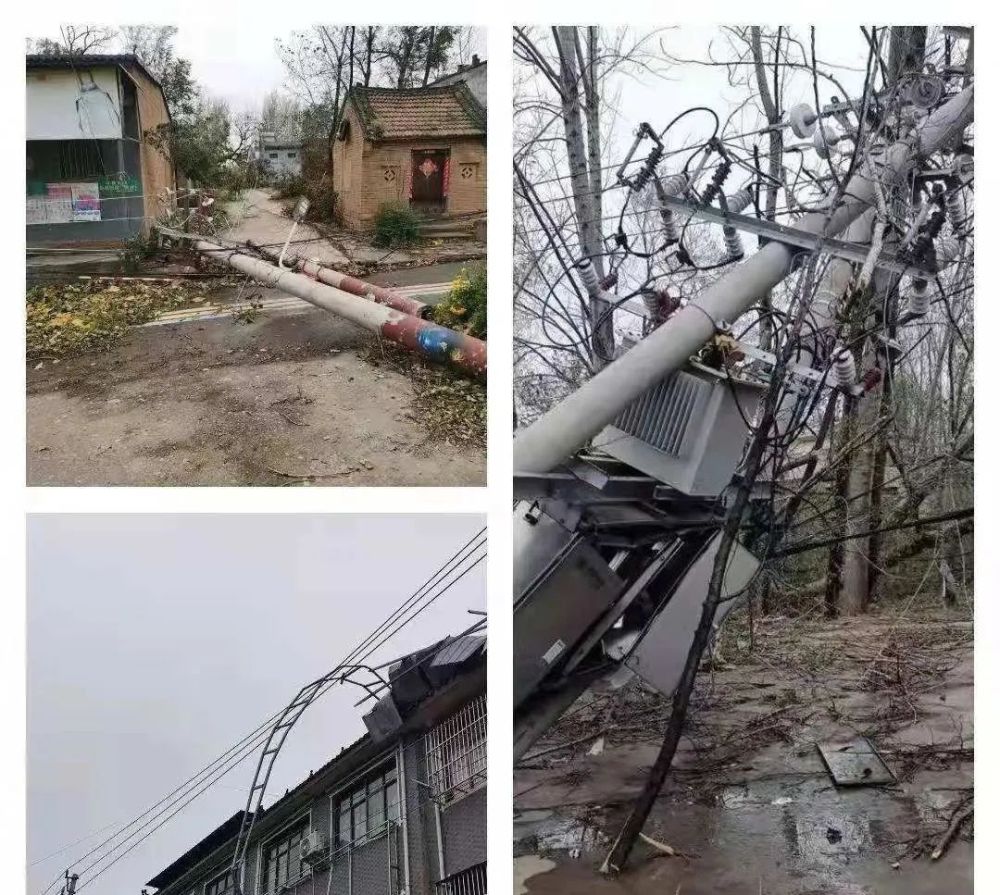 郏县遭遇史上罕见大风各部门积极行动