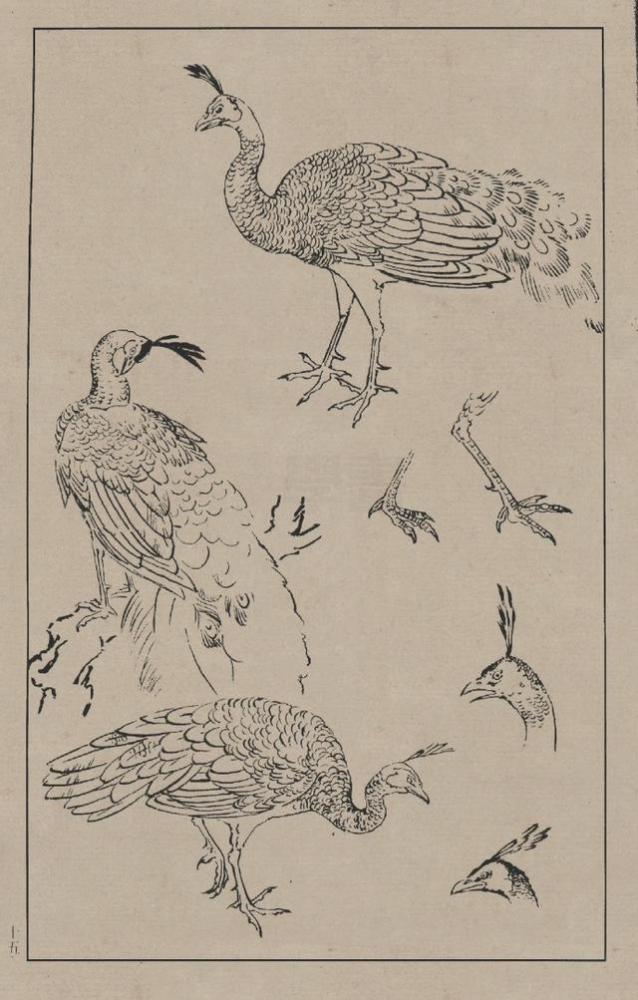 中国画简谱_中国画简单