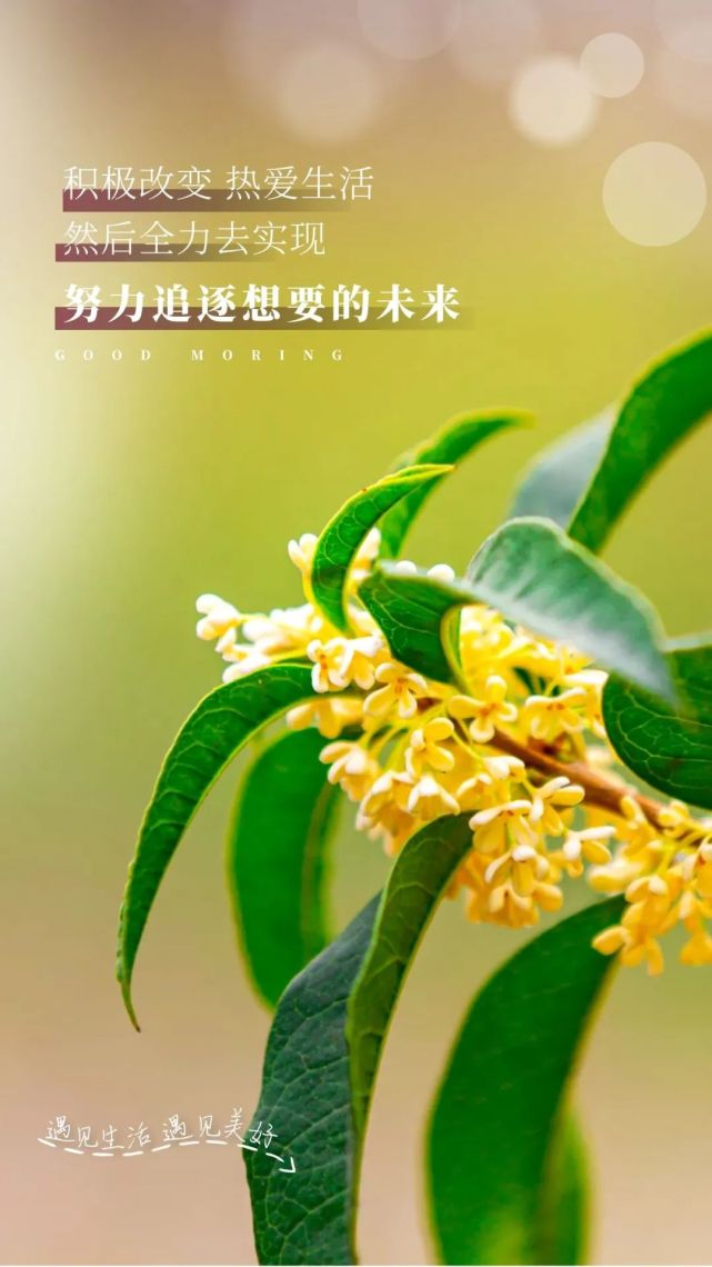 新周早安积极向上的图片带文字,心宽容天下,精彩铸心魂