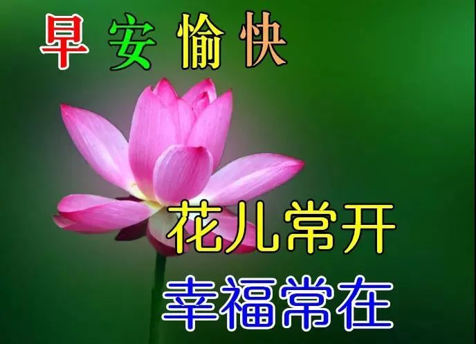 8张朋友们早上好温馨的冬季祝福语录精选唯美的冬天暖心早安动态图片