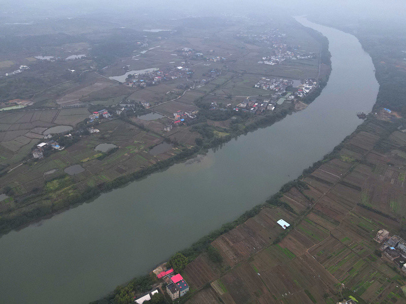 湖南耒阳冬种油菜籽大地披绿装