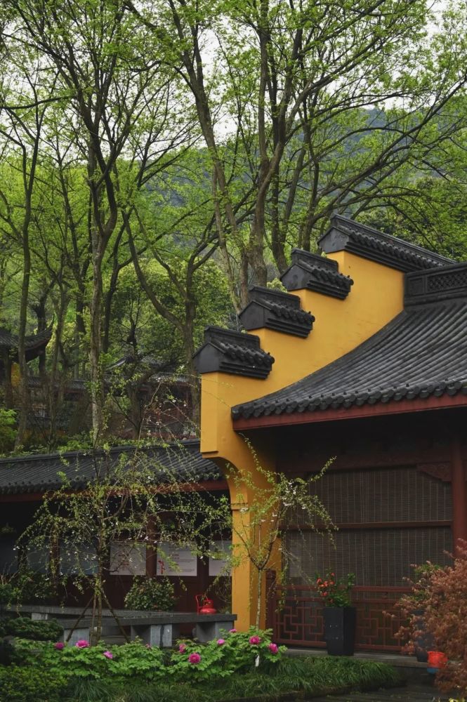 "自古就令人赞叹的永福寺,值不值得去一读便知.