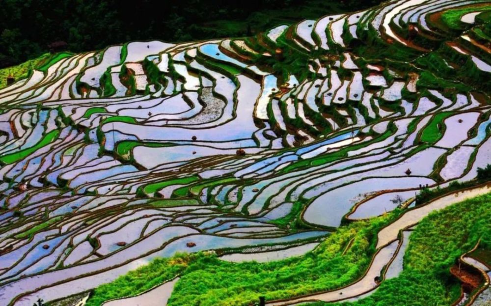 湖南娄底紫鹊界梯田湖南的紫鹊界梯田,是国家自然与文化的"双遗产,它