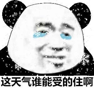 下雪了赐予你们一组好冷表情包