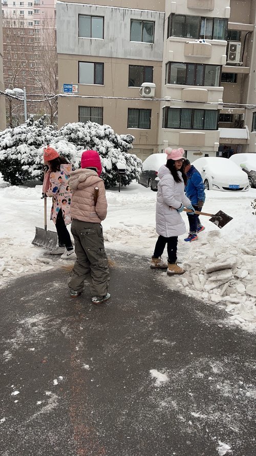 沈阳华地城市花园小区学生娃们自发组织下楼扫雪